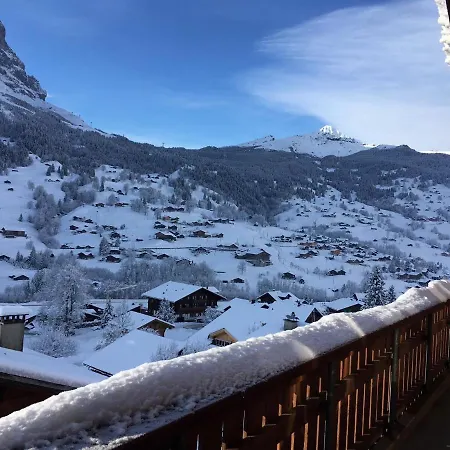 Apartment Silberhorn *