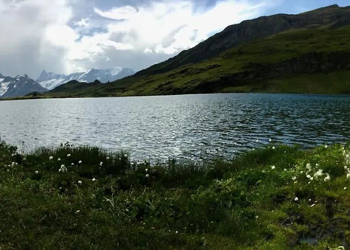 Silberhorn Grindelwald