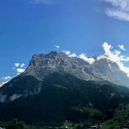 Silberhorn *