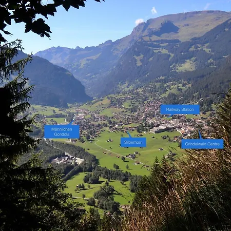 Silberhorn شقة جريندلوالد